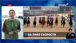 V Всемирные Игры кочевников: спортсмены Казахстана завоевали больше 100 медалей