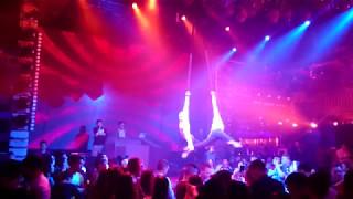BadBoys Aerial Straps
