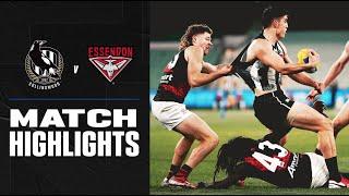 Collingwood v Essendon Highlights | Round 5, 2020 | AFL