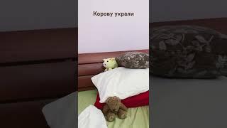 Корову украли