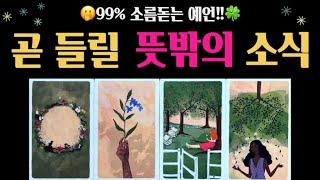 [타로]곧 당신에게 들릴 뜻밖의 소식은?