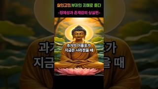 삶의고민, 부처님의 지혜로 풀다 -정체성과 존재감의 상실- 제3화 과거의 이름표가 지금은 사라졌을때 #부처님말씀 #명언 #자기수행 #삶의지혜 #삶의고민 #인생조언 #철학 #지혜