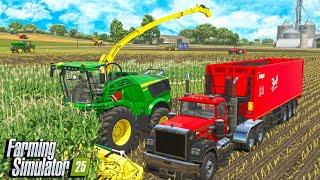 I Chopping Corn For Silage To Feed Cattle? | Farming Simulator 25