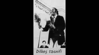 Niyaməddin Musayev - Dilkeş təsnifi