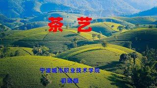 02  1 2茶艺课程学习介绍