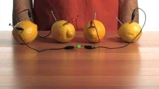 Fruit-Power Battery - Sick Science! #080