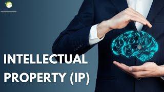 What is Intellectual Property (IP)?