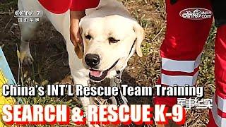 《Defense Report》Exploring China's International Rescue Team Dog Training Base