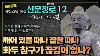 [선문정로 성철스님 12회] 진정한 오매일여로 들어감은 어떻게 알 수 있는가?