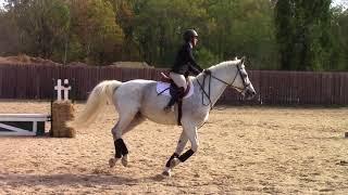 Cary Hundley and Quincy - Open Fences - Goucher