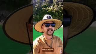 Ask us anything! Your Vanlife Questions Answered! Vanlife NZ