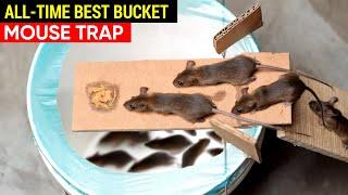 Best Mouse Trap Bucket All-Time | Rat Trap Homemade | How to set a Mousetrap