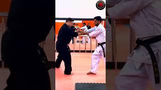 AKD Self Defense, AikiKarate Do Techniques Performing #shorts #short #shortvideo #shortsvideo