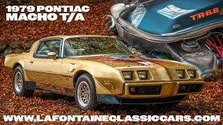 1979 Pontiac Trans Am Macho DKM #58 (FOR SALE) - 0CM62P