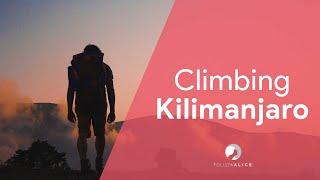 Climbing Kilimanjaro |  Lemosho route | Follow Alice