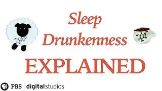 Sleep Drunkenness Explained