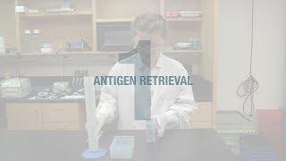 Better IHC Step 1: Antigen Retrieval