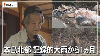 本島北部　記録的大雨から1カ月（沖縄テレビ）2024/12/9