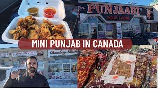 Mini PUNJAB in Canada | DESI Area of CALGARY | Indians in Calgary | 2 States in Canada