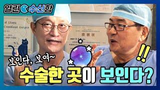 성형외과 원장님은 다 보이시나요? [열린수신함 90편]