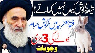 Why Shia Don't Eat Rabbit ? | Maulana Syed Payam Haider Rizvi | ⓒ | 4K