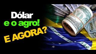 DÓLAR E O AGRO!  E AGORA?