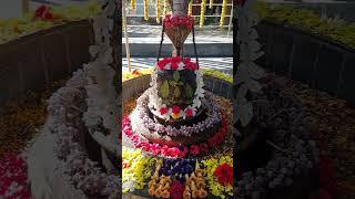 #singer #music #coversong #trending #shyam #shreekhatushyam #hindudeity #upay #song