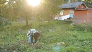 Mountain Traditions. Autumn Harvest and Homestyle Recipes in a Remote Village