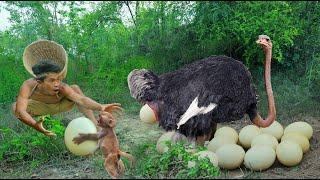 Use means with monkeys To deceive the ostrich - Cook Oatmeal Eggs for Monkeys to Eat