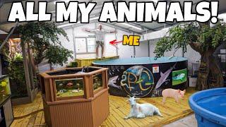 ALL of My ANIMALS & FISH PONDS in ONE video!!