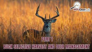 Buck Harvest Strategies Part 1