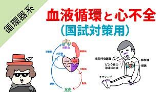 【国試対策】血液循環と心不全