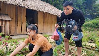 130 days : Harvest fruits, onions, lychees - my happiest day with dung l Lý Thị Sai