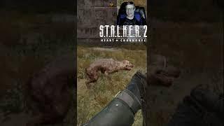 S.T.A.L.K.E.R. 2:  "ВОНО" міркує 