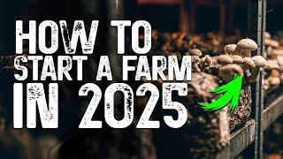 Starting a mushroom farm in 2025