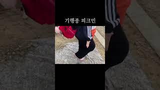 피크민하는 급식 둘