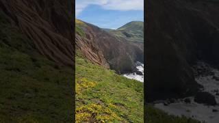 Wild Flowers at Mori Point #mustsee #spring #wildflowers #sanfrancisco #vlog