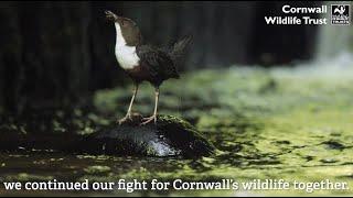 Cornwall Wildlife Trust 2021 Overview