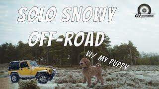 Solo Snowy Off-Road Trail With My Puppy
