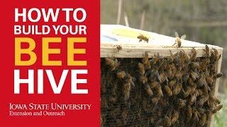 How to Build a Beehive for Beekeeping