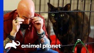 Jackson Gets Emotional At Cat's Mind-Blowing Transformation | My Cat From Hell