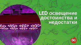 №43 Светодиодное LED-освещение растений: преимущества и недостатки