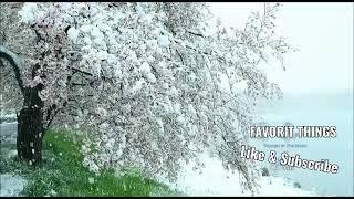 آهنگ برف میاد دانه دانه , Snow song  comes seed by seed