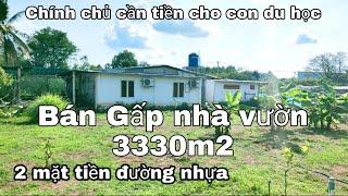 Nhà đất củ chi | giá rẻ | giới thiệu | Nhà vườn chính chủ cần bán gấp 3330m2 2 mặt tiền đường nhựa