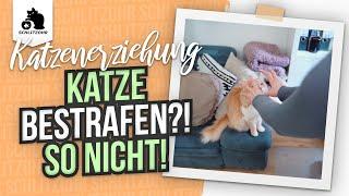 Katzenerziehung - Katze bestrafen?! So nicht! Katze mit Wasserpistole bestrafen