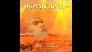 Shamanic Dream by Anugama