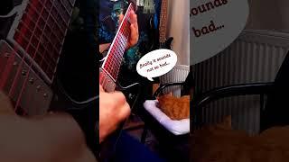 THRASH Metal Cat 9 Riff Mix - Old School Thrash Like Exodus Meets Metallica Megadeth Slayer Orange