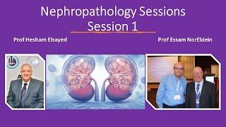 Nephropathology session one 1920x1080