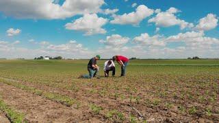 Demo Farm Tests Sustainable Growing Practices with Advanced Ag Technology | John Deere