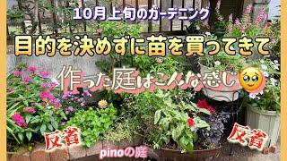 【pinoの庭】庭を少し秋っぽくしたくて計画なしに買ってきた苗を、適当に植え込んでイマイチの庭になったなーと反省！おまけは、ポメラニアンのモナカ、お迎えして3日間の様子。#ガーデニングブログ